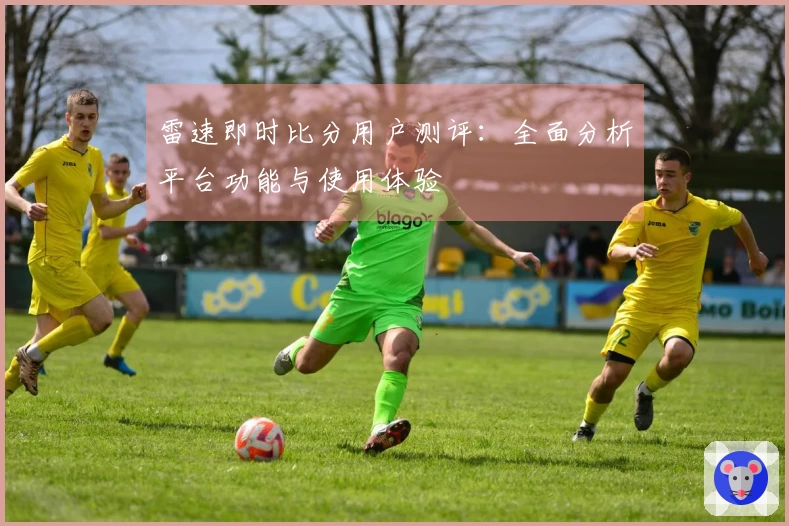 雷速即时比分用户测评：全面分析平台功能与使用体验